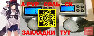 индика Новодвинск
