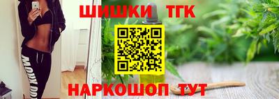 индика Новодвинск