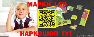 индика Новодвинск