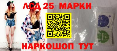 индика Новодвинск
