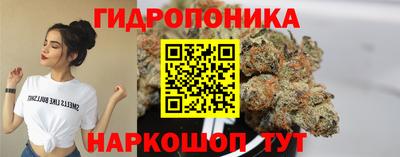 прущие крисы Новокубанск