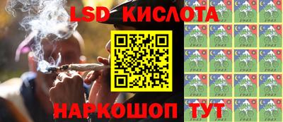 индика Новодвинск
