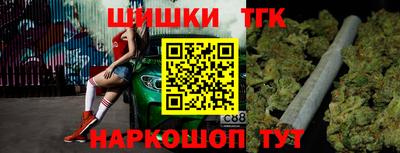 индика Новодвинск