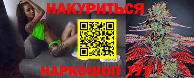 МДПВ Новозыбков