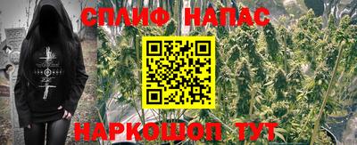 МДПВ Новозыбков