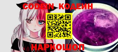 МДПВ Новозыбков
