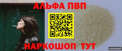 индика Новодвинск