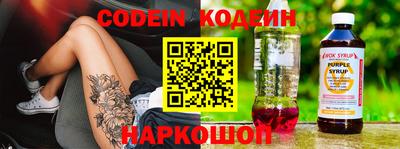 индика Новодвинск