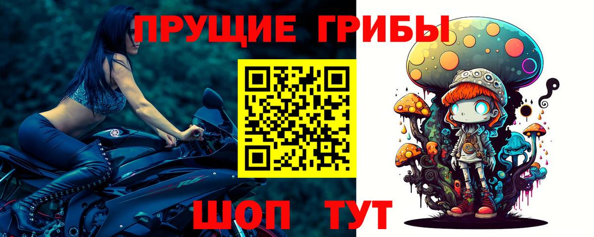 Псилоцибиновые грибы Psilocybine cubensis Серпухов